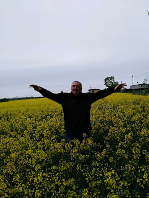 field