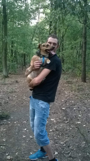 jeans, forest
