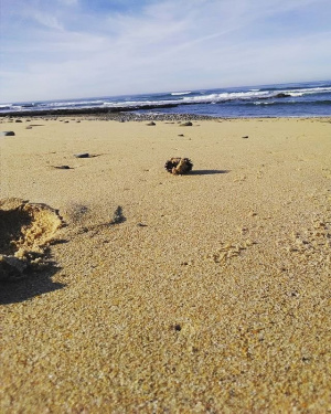 sky, beach, sand