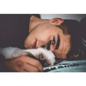 skin, dog, cat, pet
