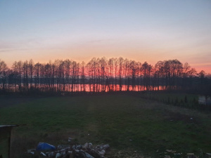 sky, sunset