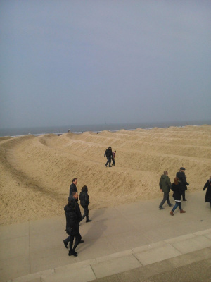sand, desert