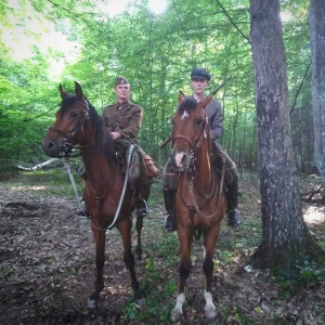 hair, horse, bridle, rein, sports