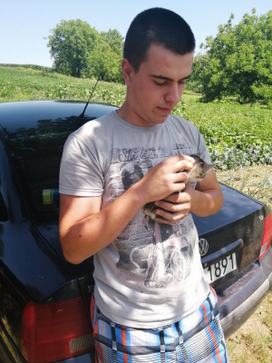 hand, jeans, cool, muscle, vehicle