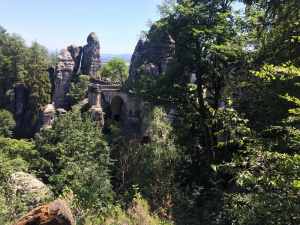 forest, rock