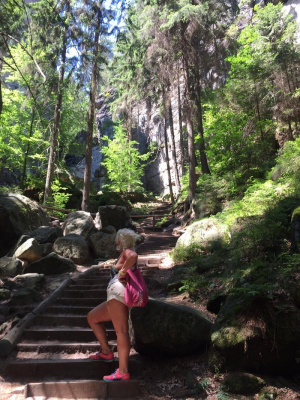 leisure, forest, rock, plant