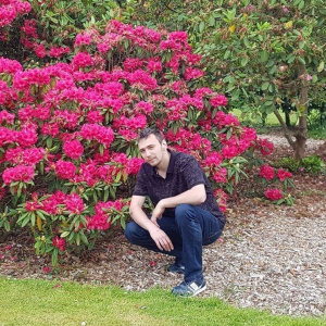 jeans, sitting, petal, plant, flower, garden