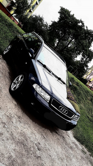vehicle, car, bumper