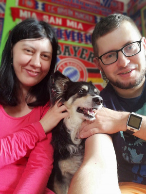 glasses, dog, pet
