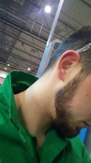 mouth, hair, ear, beard