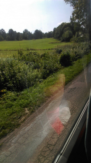 field, road, asphalt, infrastructure