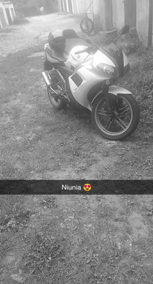 monochrome, vehicle, wheel, asphalt, tire
