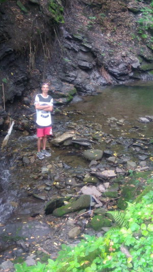 jungle