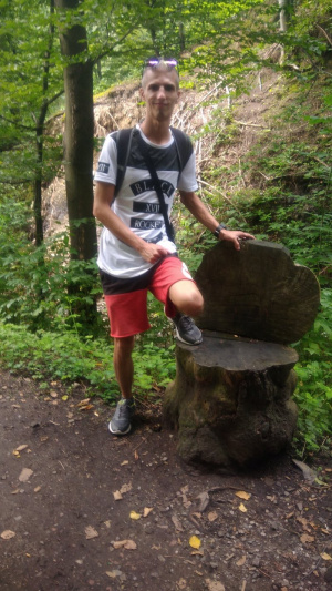 forest, jungle