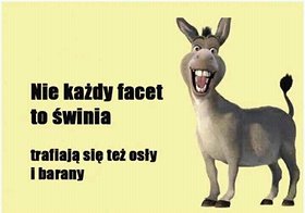 Najładniejsze zdjęcie użytkownika Misieek199 -
