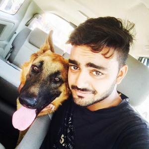 cool, dog, pet
