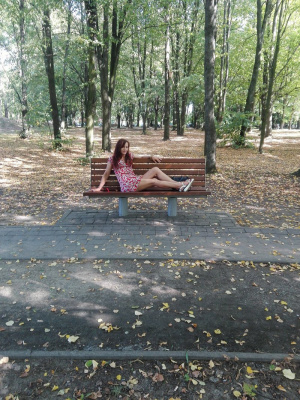 leisure, forest, bench