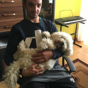 dog