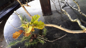 branch