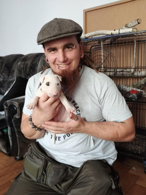 cool, muscle, dog, hat