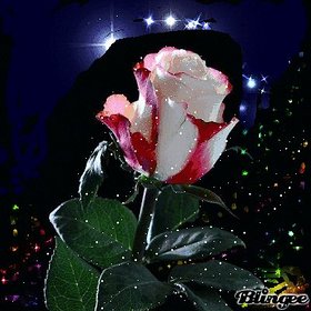 Najładniejsze zdjęcie użytkownika MarekPowroznik - 