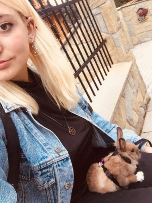 hair, textile, jeans, cool, dog