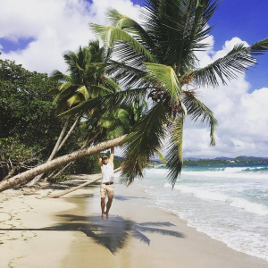 vacation, beach, plant
