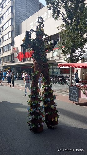 Najładniejsze zdjęcie użytkownika TomaszDzialek - 