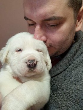 Najładniejsze zdjęcie użytkownika Bartix27 - 