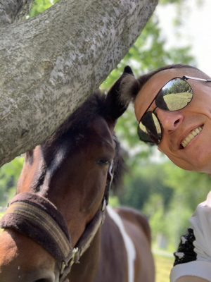 horse, bridle, rein