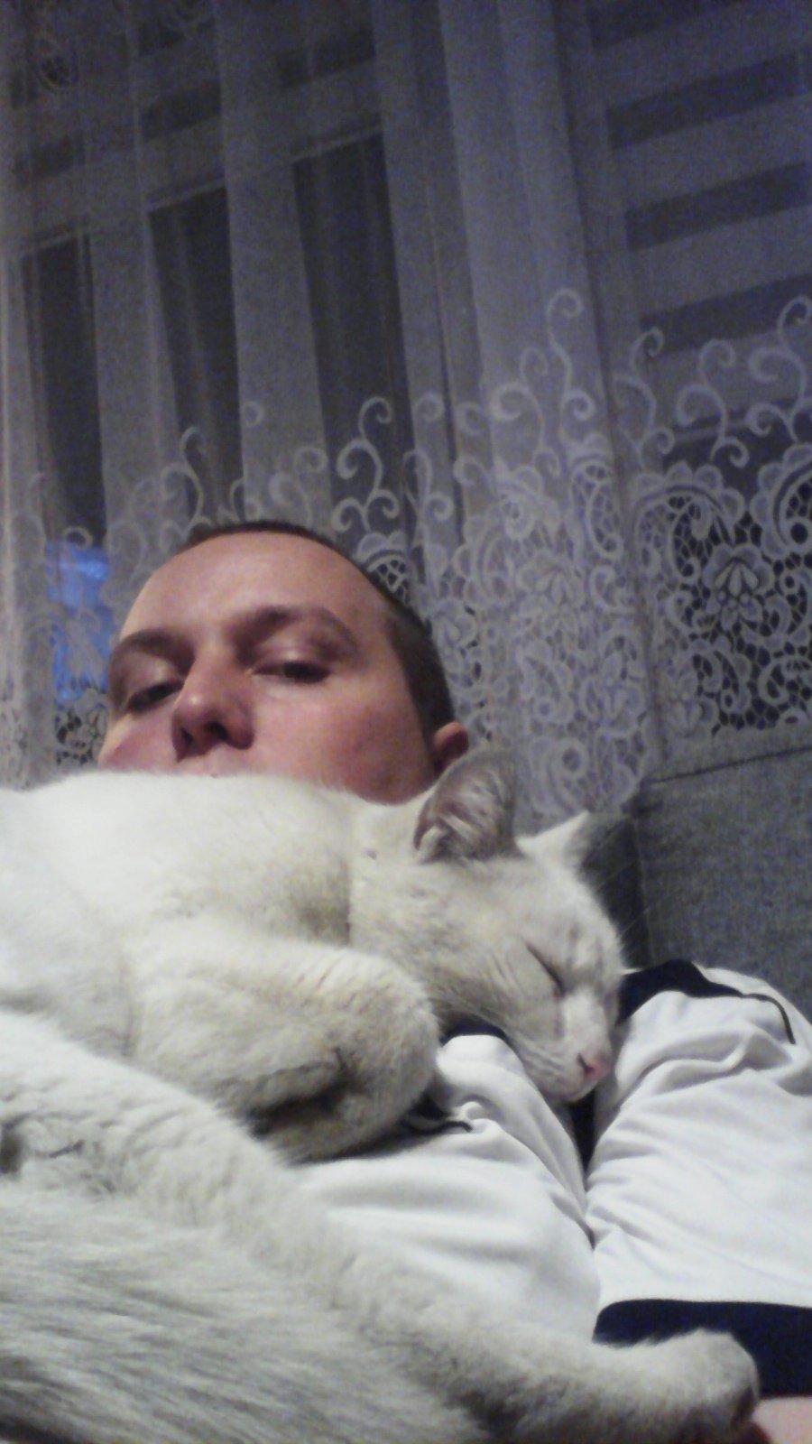 dog, cat