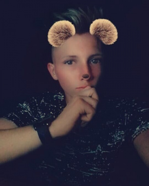 ear