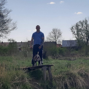 sky, dog
