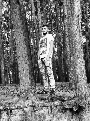 standing, monochrome, forest, trunk