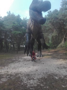 Najładniejsze zdjęcie użytkownika grzegorznowacki37 - 