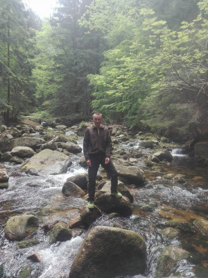 forest, rock, jungle
