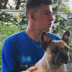 dog, pet