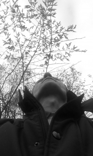 jacket, outerwear, monochrome, branch