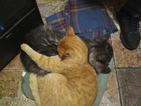 Najładniejsze zdjęcie użytkownika KrawczykTh - 