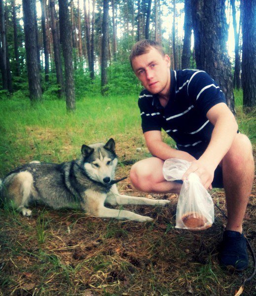 forest, dog, pet