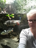Najładniejsze zdjęcie użytkownika MarGd