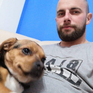 hair, beard, dog, pet