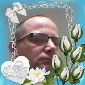 glasses, petal, flower