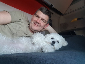 dog, pet