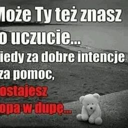 dog, toy, poster