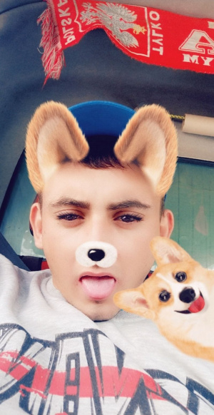 ear, dog