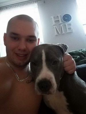 muscle, ear, dog, pet