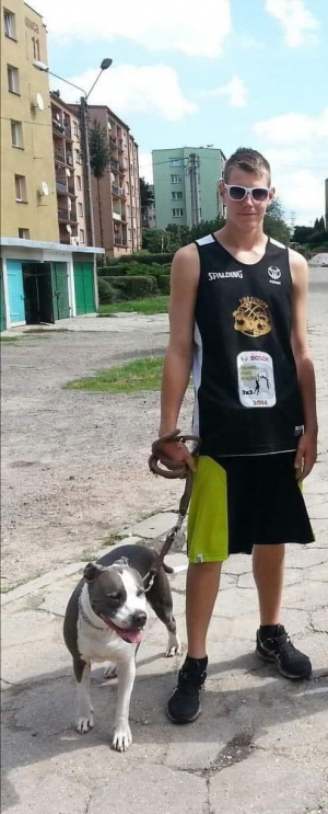 dog