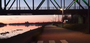 sky, dog, river, bridge