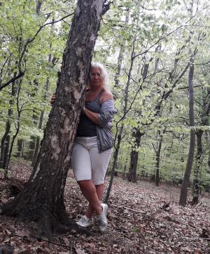 forest, branch, plant, trunk